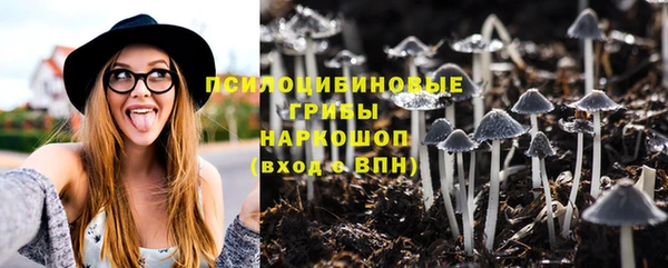 трава Бородино