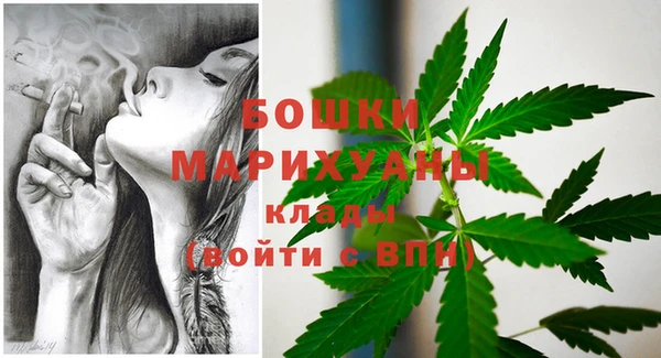 трава Бородино