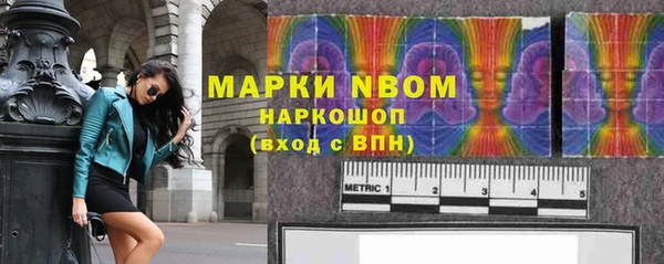 трава Бородино