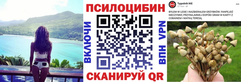 Галлюциногенные грибы MAGIC MUSHROOMS  цена   Грозный 